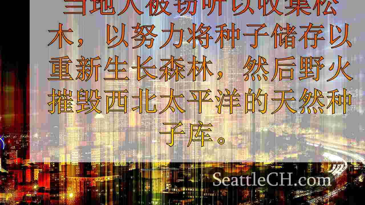 西雅图新闻 SeattleCH