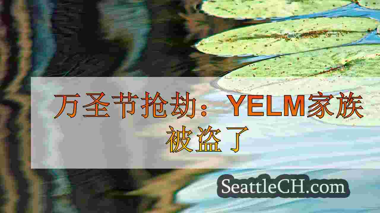 万圣节抢劫：Yelm家族被盗了