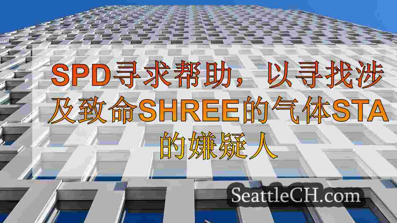西雅图新闻 SeattleCH