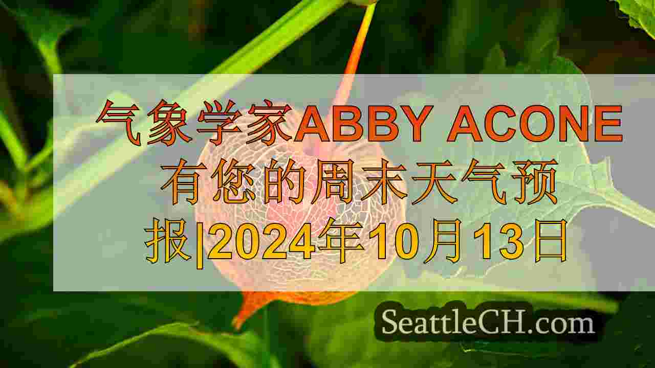 西雅图新闻 SeattleCH