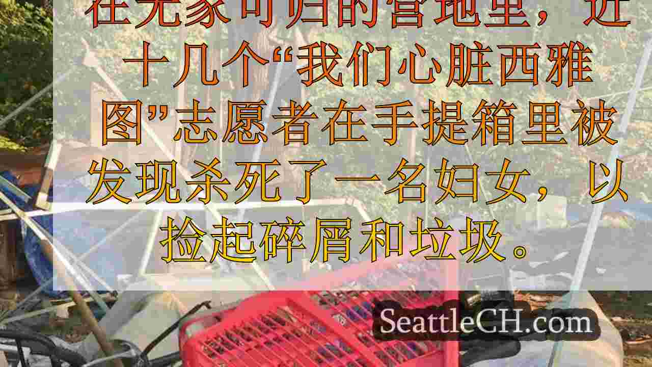 西雅图新闻 SeattleCH