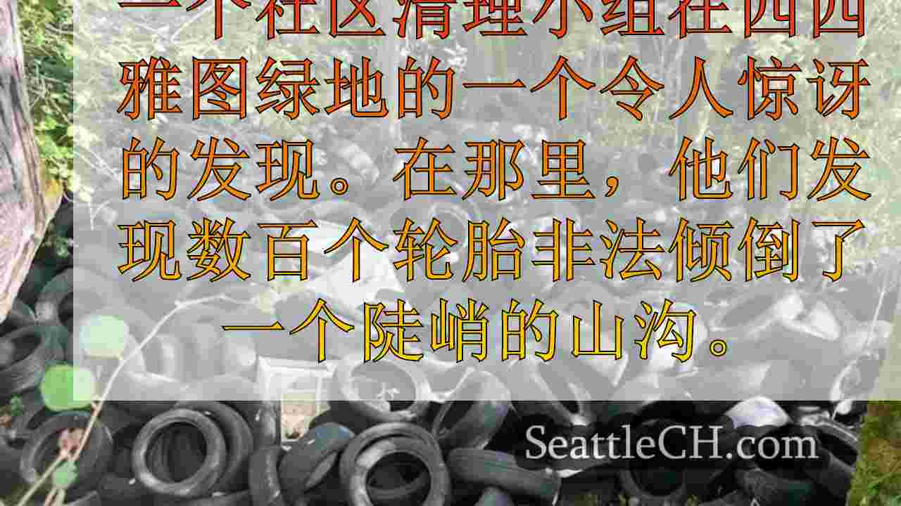西雅图新闻 SeattleCH