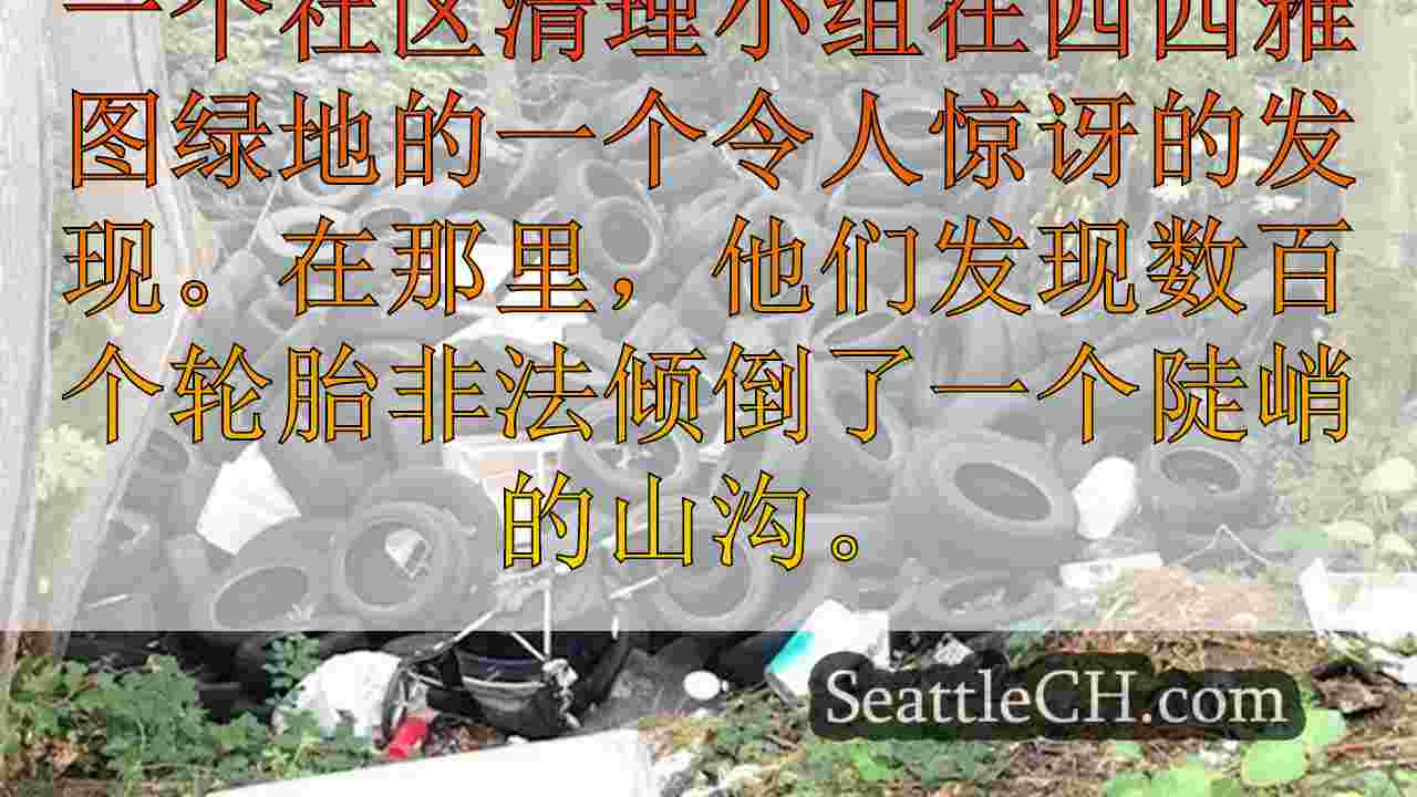 数百个轮胎被发现在西西雅图绿地非法倾倒，正在进行清理