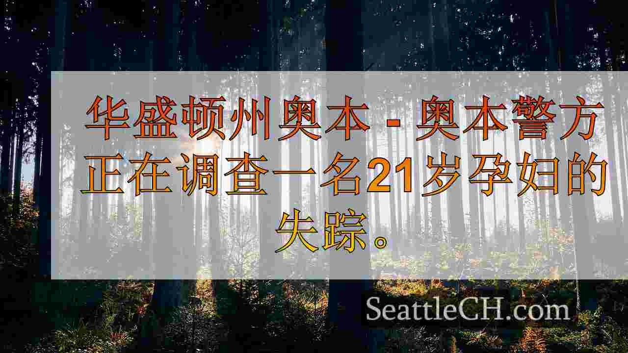 西雅图新闻 SeattleCH