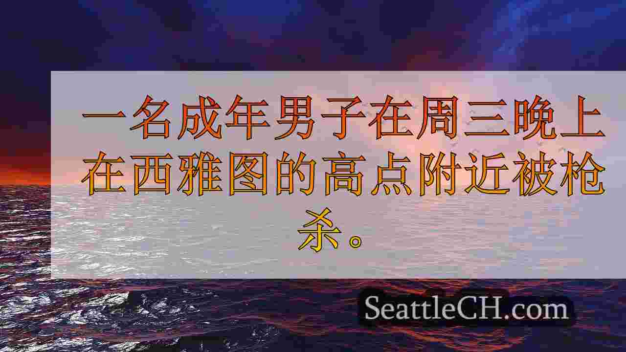 西雅图新闻 SeattleCH