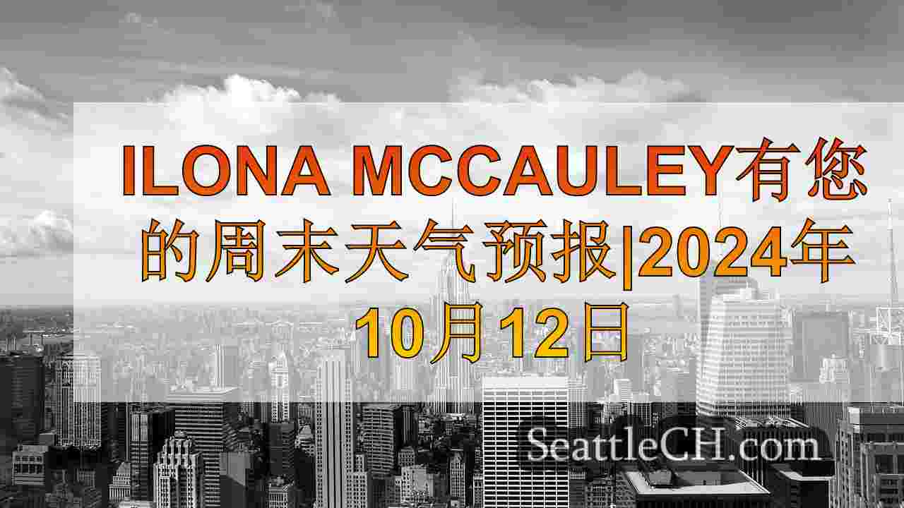 西雅图新闻 SeattleCH