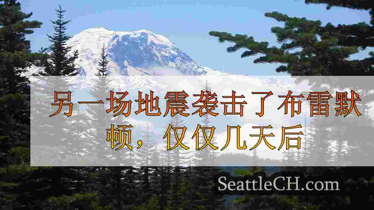 西雅图新闻 SeattleCH