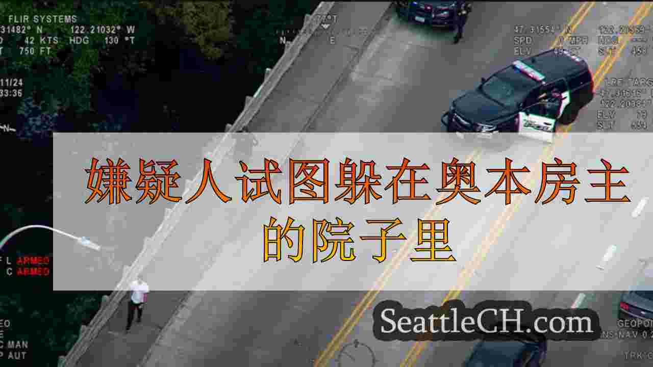 嫌疑人试图躲在奥本房主的院子里，追赶一辆被盗的卡车