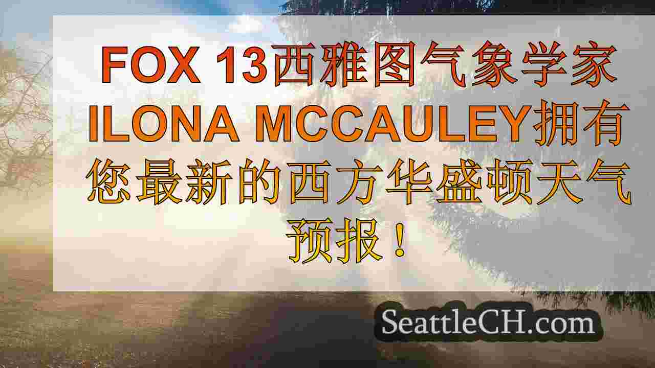 西雅图新闻 SeattleCH