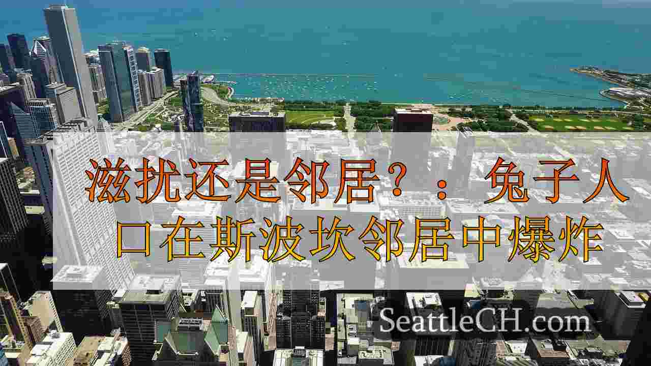 西雅图新闻 SeattleCH