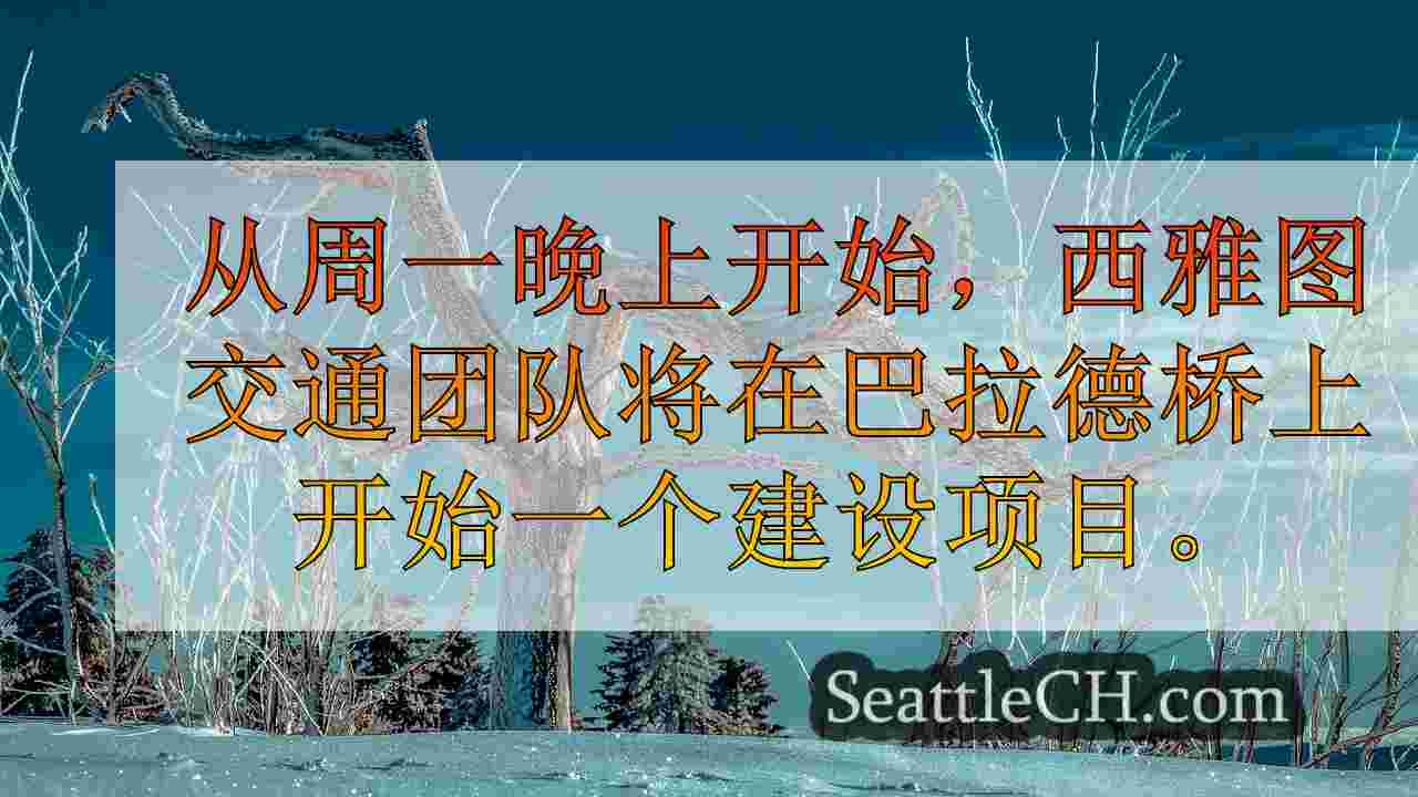 西雅图新闻 SeattleCH