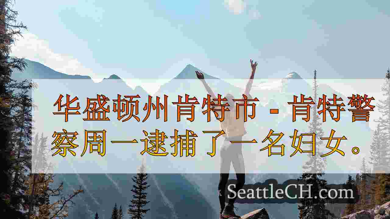 西澳母亲在与婴儿在后座的婴儿昏倒后因DUI被捕