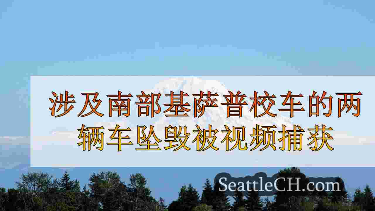 涉及南部基萨普校车的两辆车坠毁被视频捕获