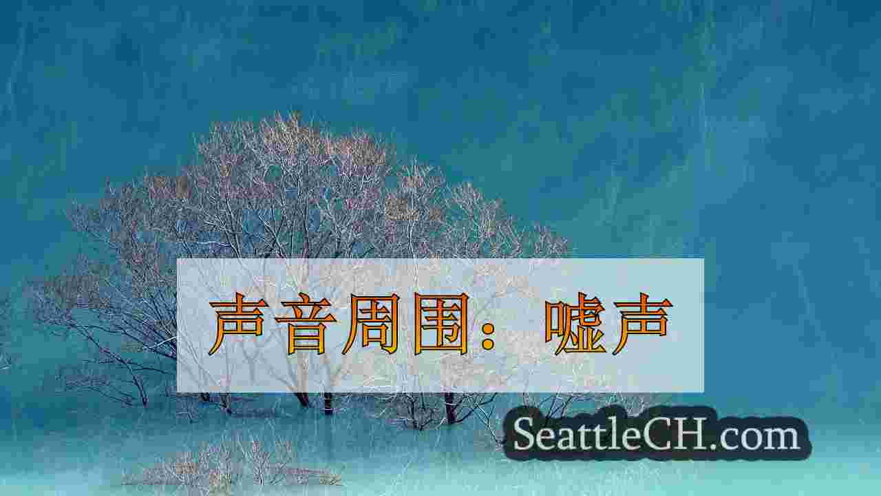 西雅图新闻 SeattleCH