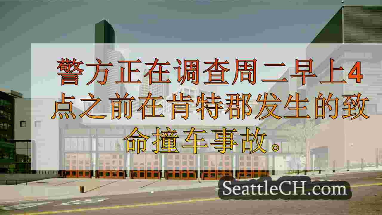 西雅图新闻 SeattleCH