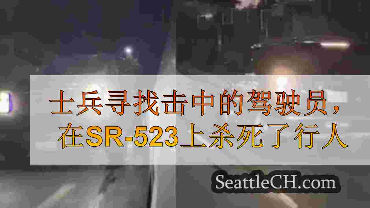 士兵寻找击中的驾驶员，在SR-523上杀死了行人
