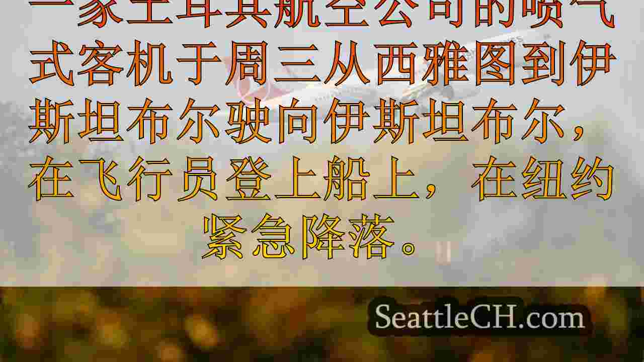 飞行员死后，从西雅图出发的土耳其航空公司从西雅图从西雅图降落在纽约