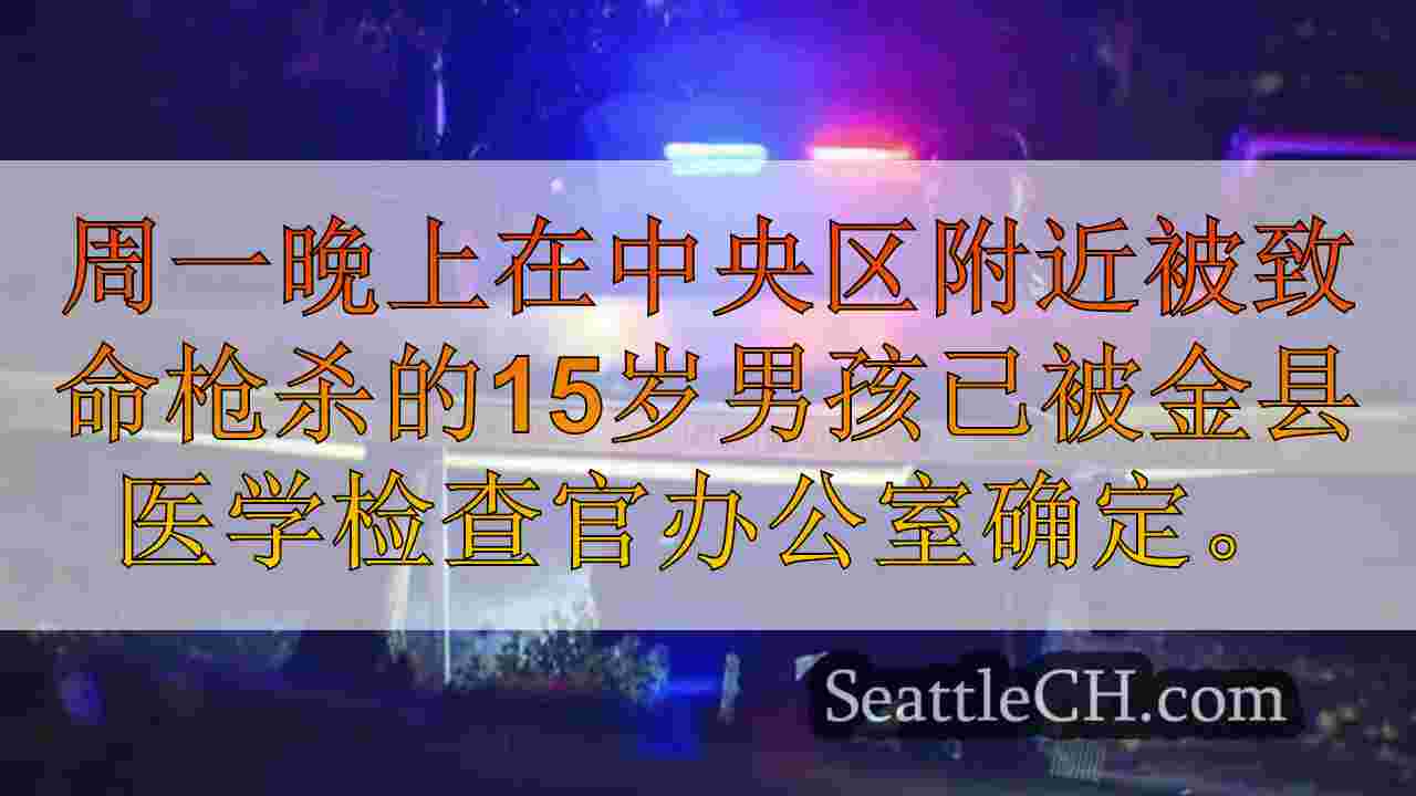 西雅图新闻 SeattleCH