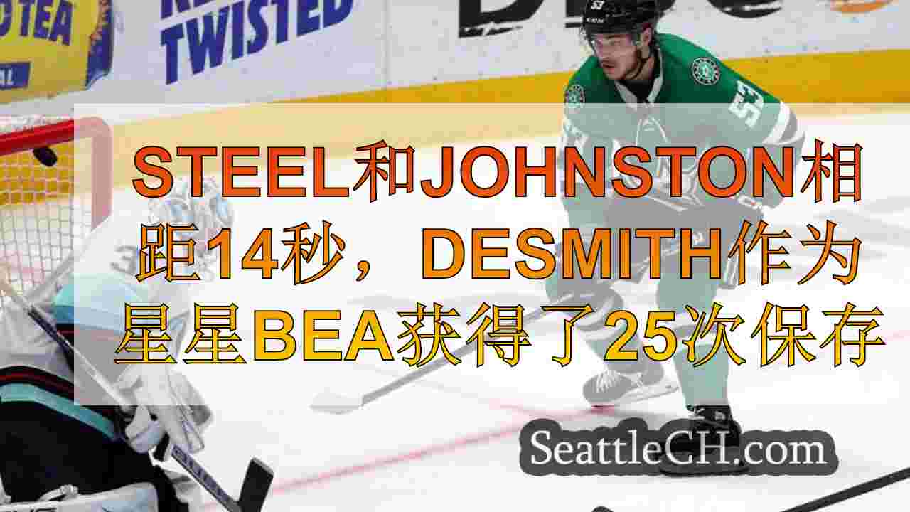 钢铁和约翰斯顿相距14秒，Desmith获得了25次扑救，因为星星以2-0击败K
