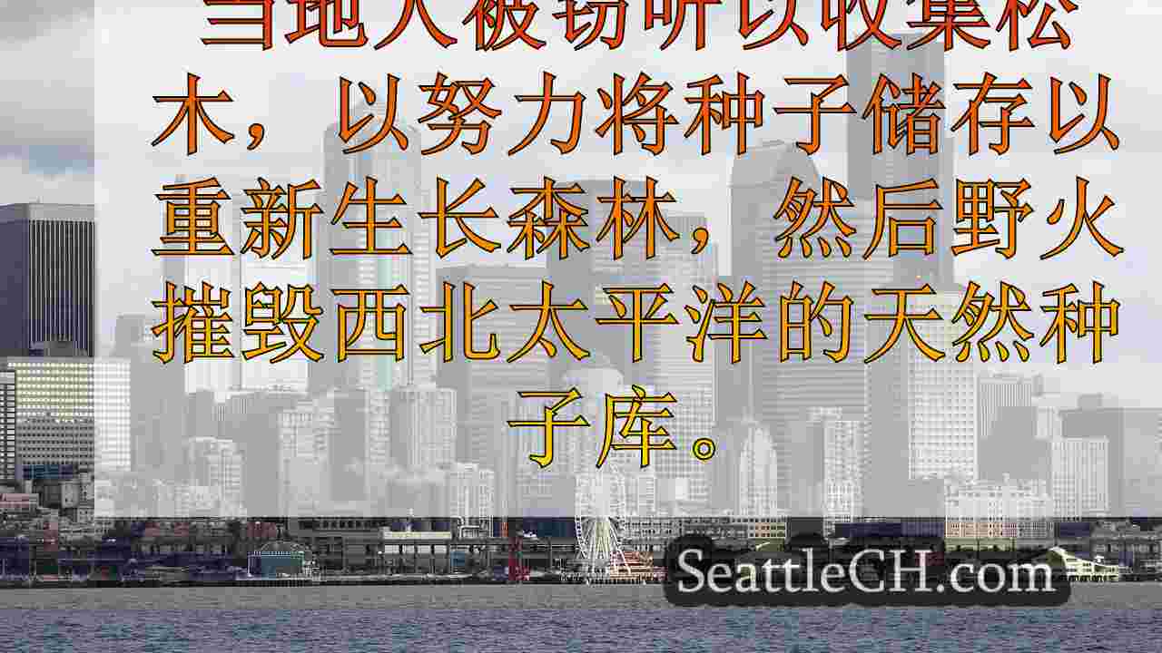 西雅图新闻 SeattleCH