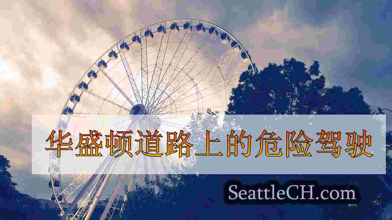 华盛顿道路上的危险驾驶