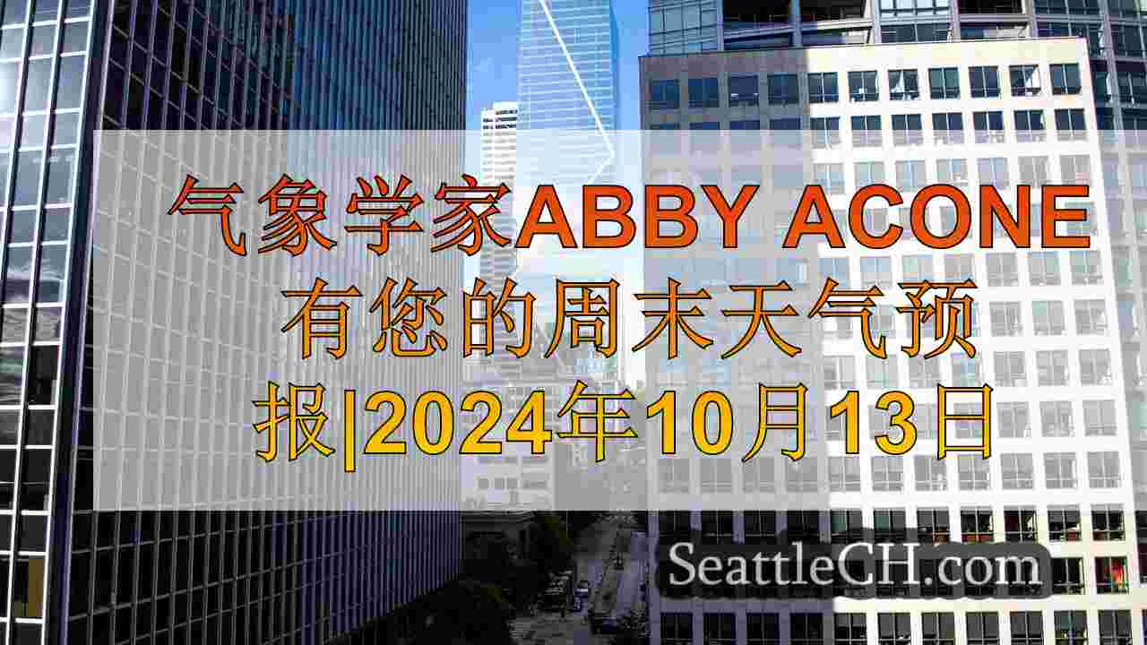 西雅图告别2024年70度天气的最后几天
