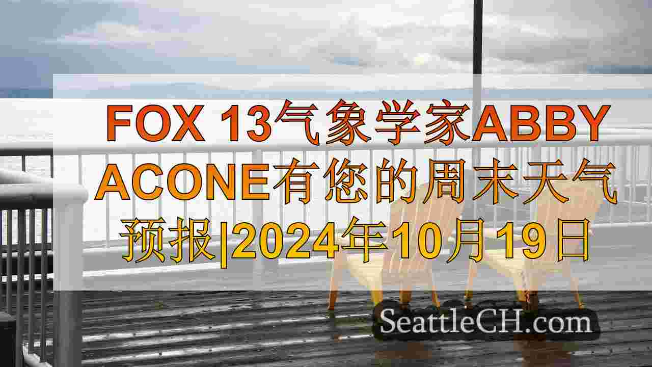西雅图新闻 SeattleCH