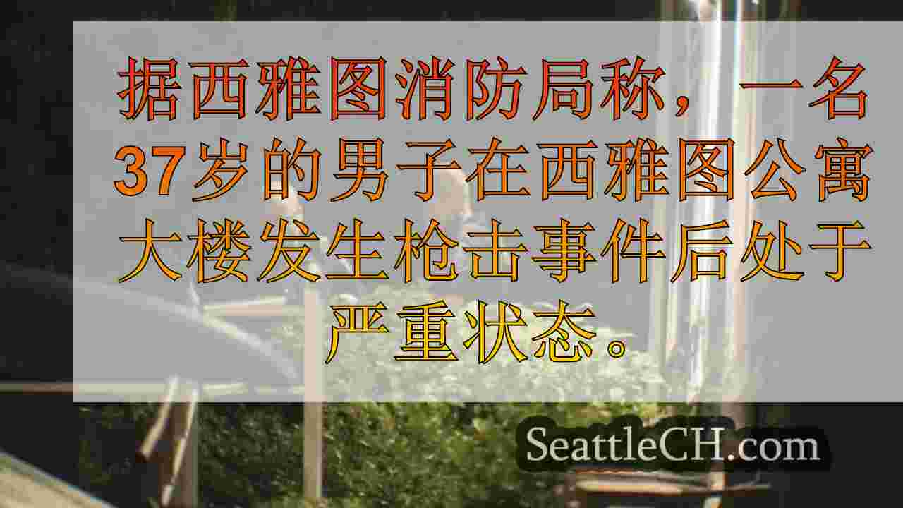 西雅图新闻 SeattleCH