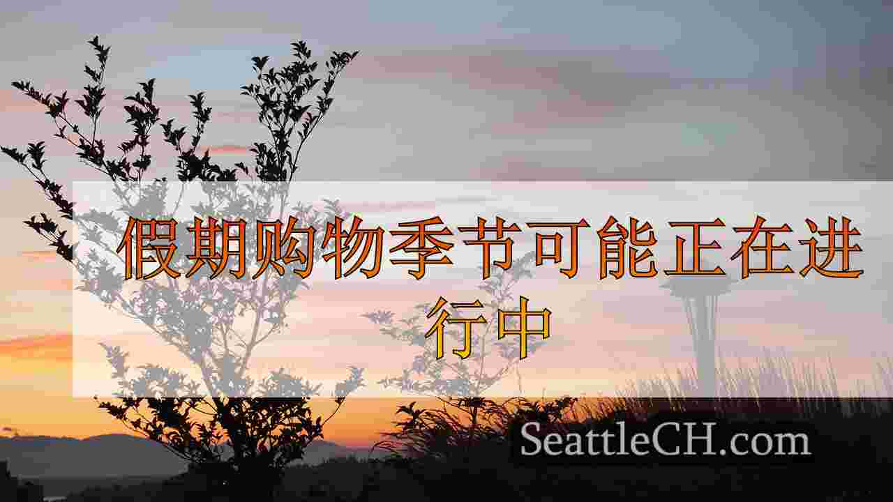西雅图新闻 SeattleCH