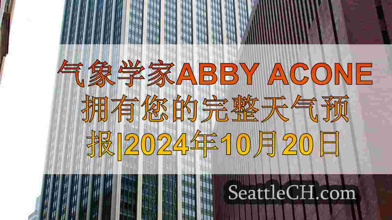 西雅图新闻 SeattleCH
