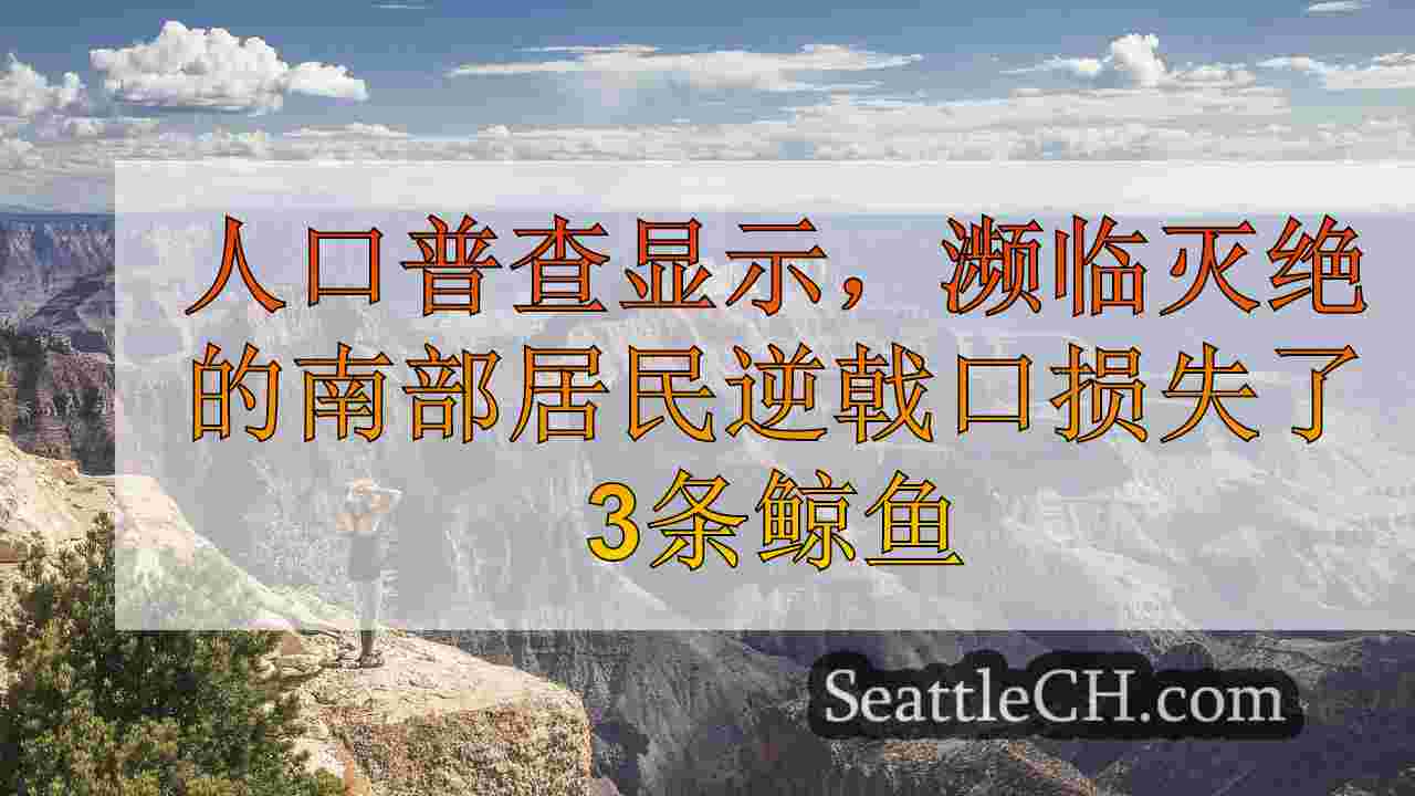 西雅图新闻 SeattleCH