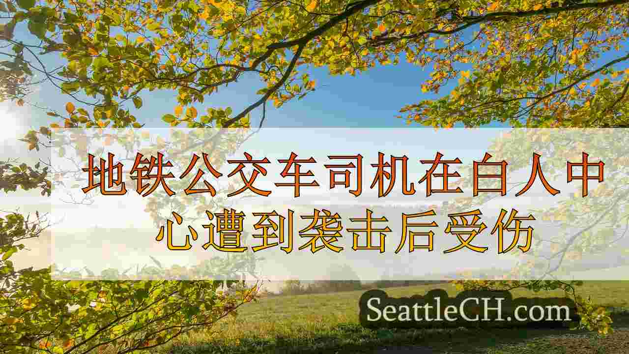 西雅图新闻 SeattleCH