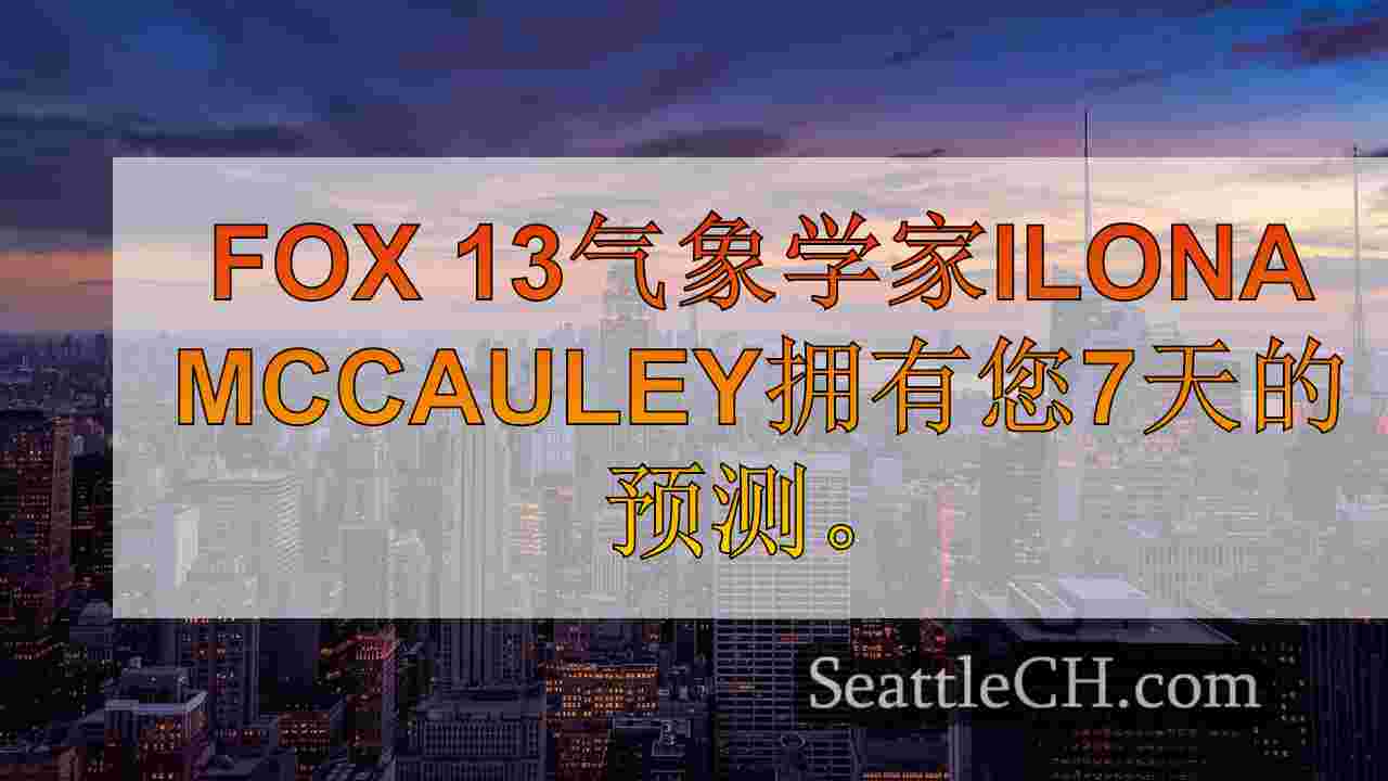 西雅图新闻 SeattleCH