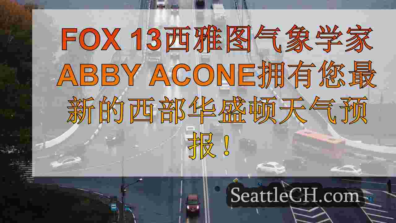 西雅图新闻 SeattleCH