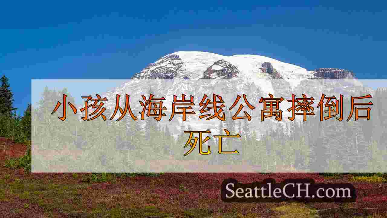 小孩从海岸线公寓摔倒后死亡