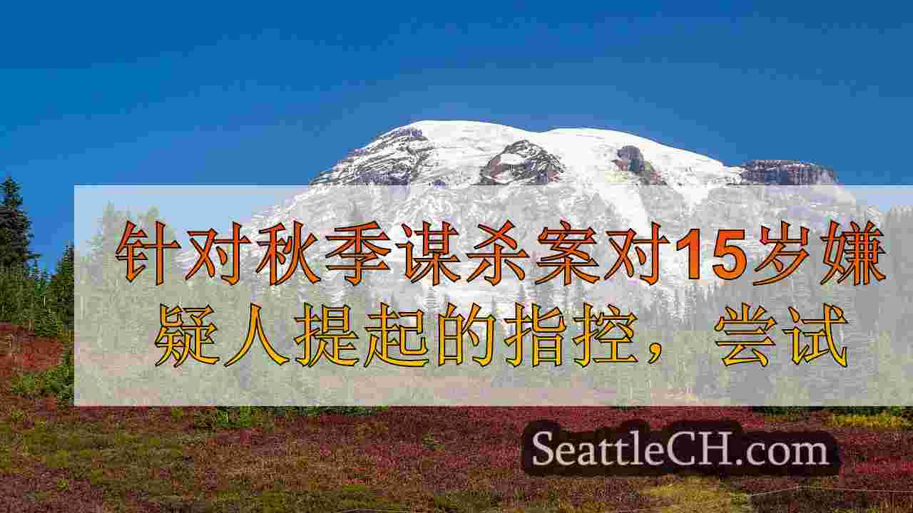 针对秋季谋杀案的15岁嫌疑人提起的指控，未遂谋杀姐妹