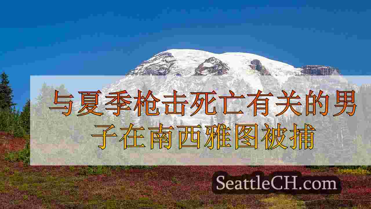 西雅图新闻 SeattleCH