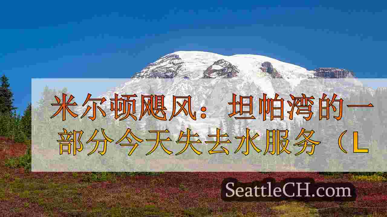 西雅图新闻 SeattleCH