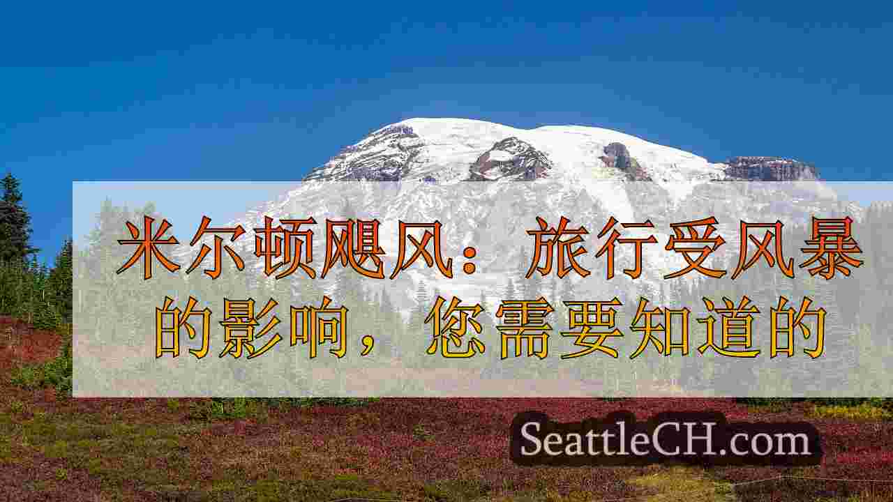 西雅图新闻 SeattleCH