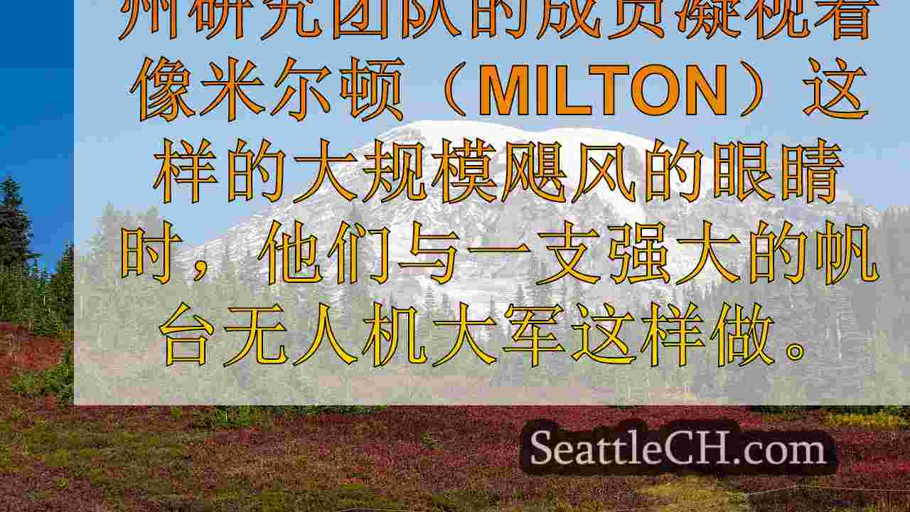 西雅图新闻 SeattleCH