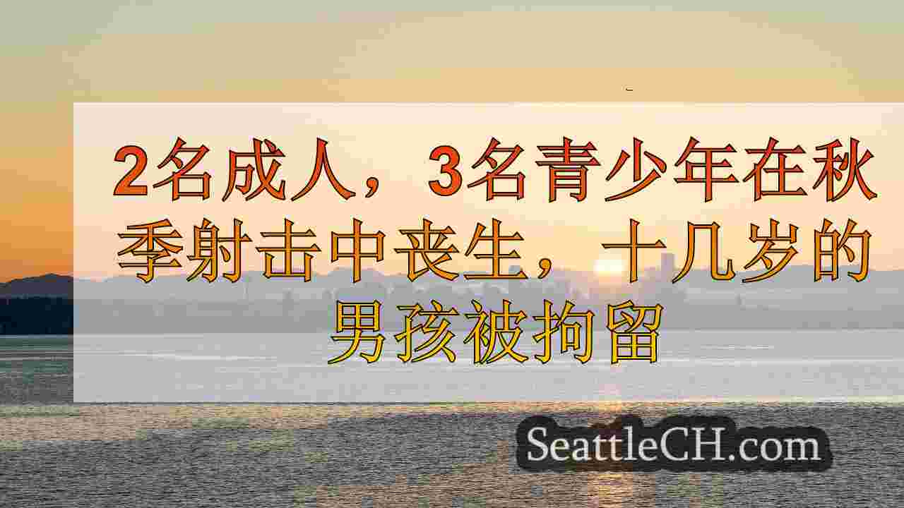 2名成人，3名青少年在秋季射击中丧生，十几岁的男孩被拘留
