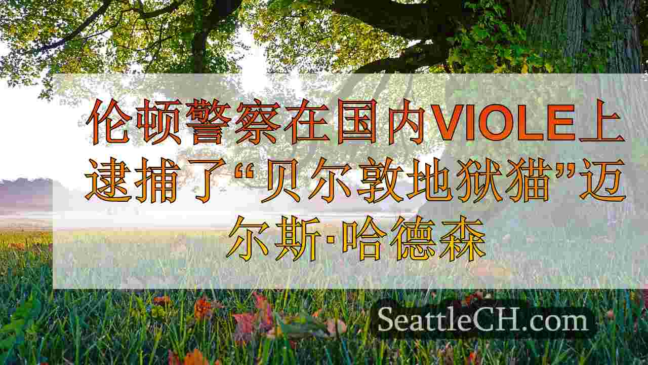 伦顿警察逮捕了“贝尔敦地狱猫”迈尔斯·哈德逊