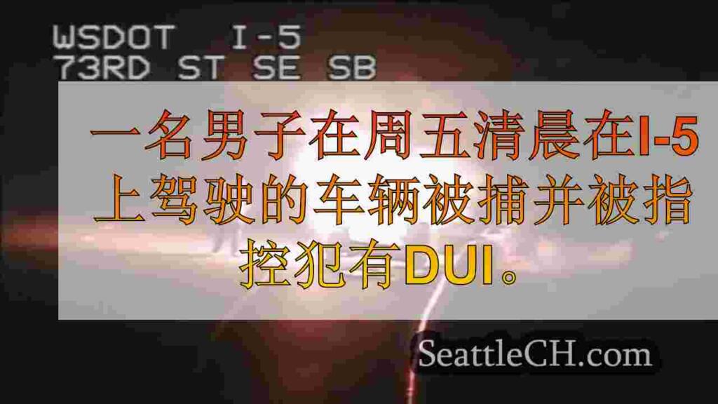 DUI司机似乎在被捕前在高速公路上燃烧的SUV前拍照