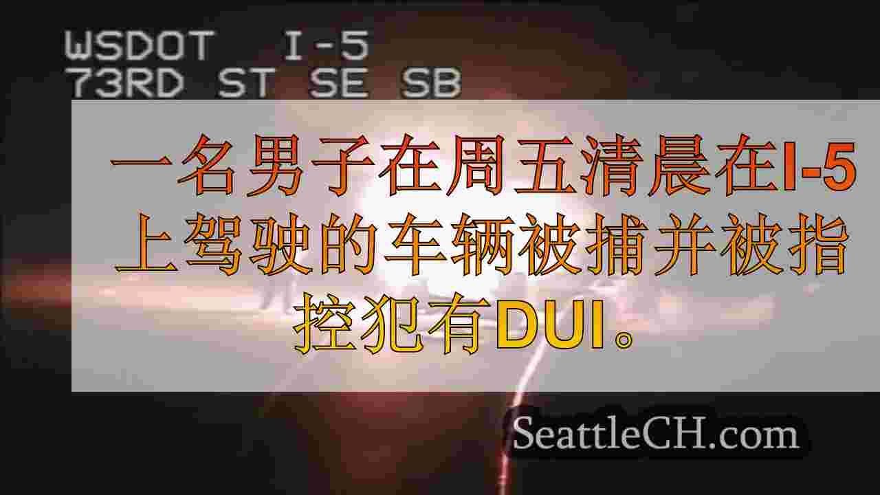 DUI司机似乎在被捕前在高速公路上燃烧的SUV前拍照