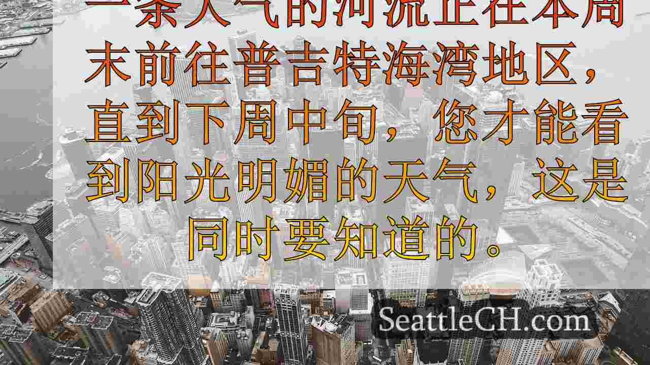 西雅图新闻 SeattleCH