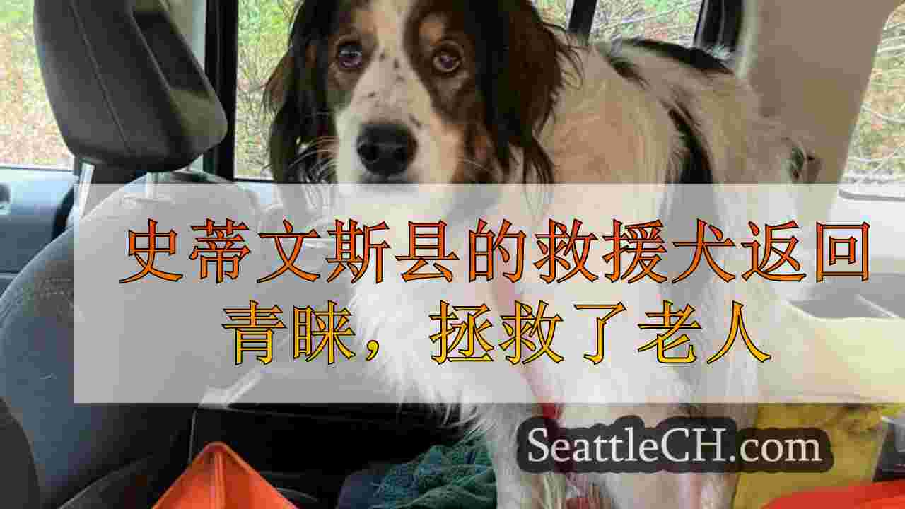 史蒂文斯县的救援犬返回青睐，拯救了倒下的老人