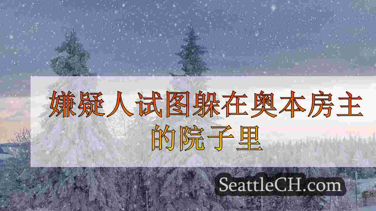 西雅图新闻 SeattleCH