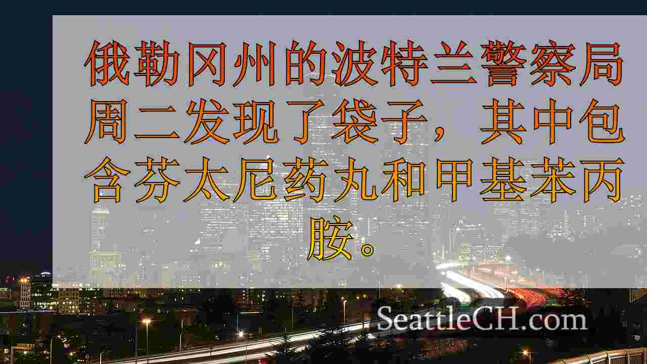 西雅图新闻 SeattleCH