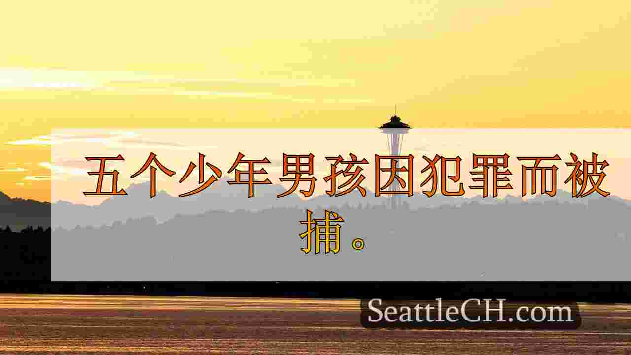 西雅图新闻 SeattleCH