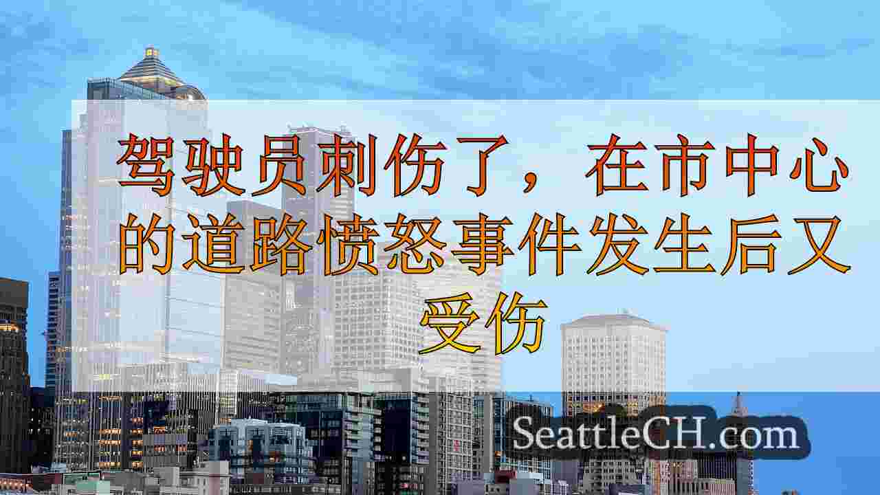 西雅图新闻 SeattleCH